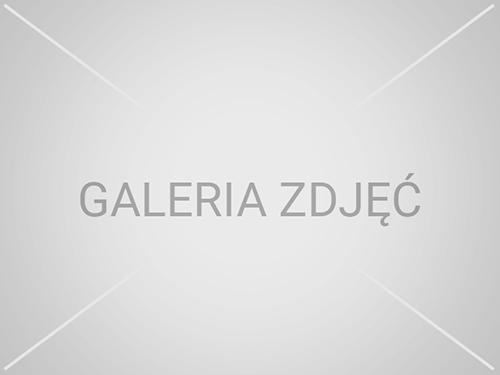 galeria-2--kopia